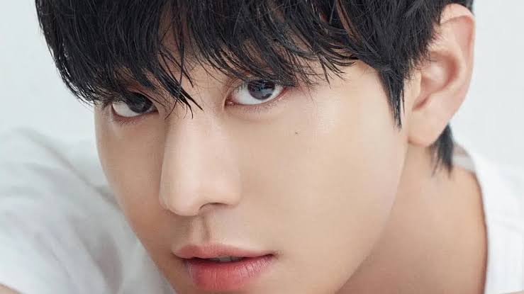 Kemarin: Pemeriksaan Ulang Pasien TB dan Fan Meeting Ahn Hyo Seop