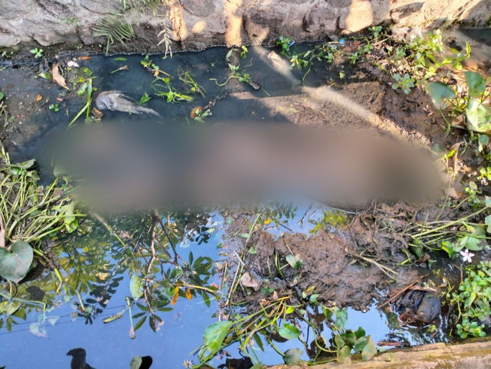 Tiga Mayat Ibu dan Anak Ditemukan di Irigasi Sidrap