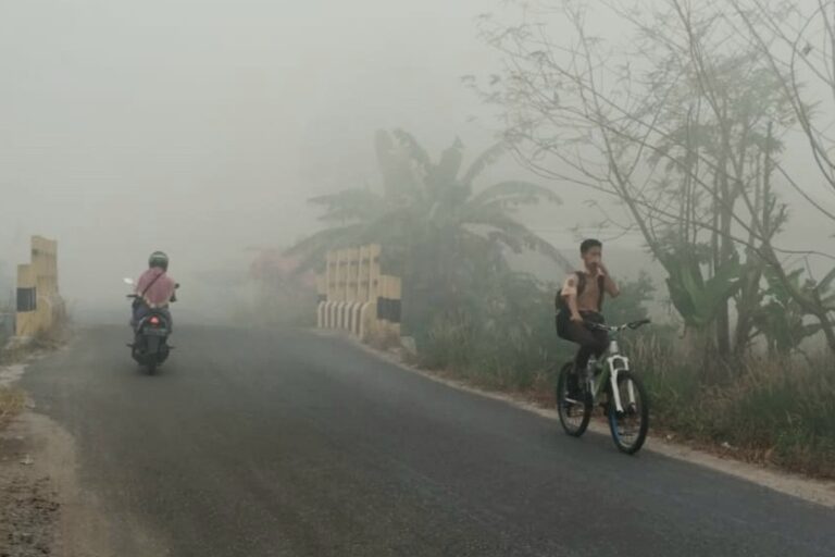 Asap Karhutla Ganggu Aktivitas dan Kesehatan