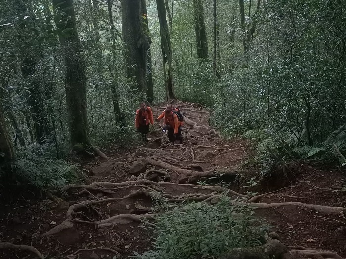 Empat Pendaki Tersesat di Gunung Batukaru, Semua Selamat