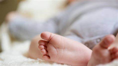 Bayi Laki-laki Dibuang di Sawah, Selamat Ditemukan Warga