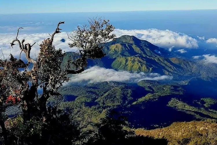 Malam 1 Suro, Ratusan Peziarah Menuju Hargo Dalem