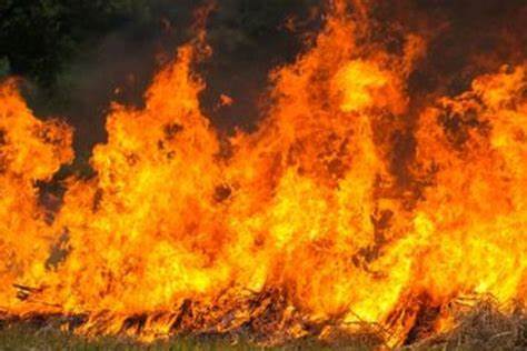 Lupa Matikan Kompor, Warkop di Cibinong Hangus Terbakar