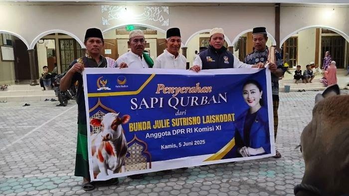 Sapi Kurban dari Julie untuk Warga NTT