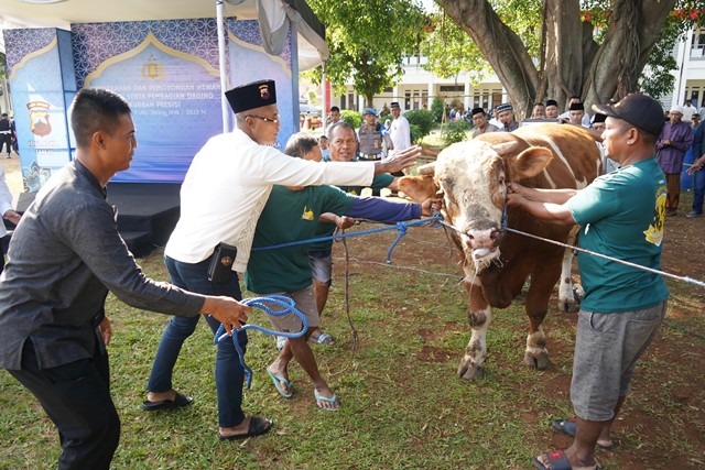Polda Jateng Kurban 808 Ekor, Daging Dibagikan ke Warga
