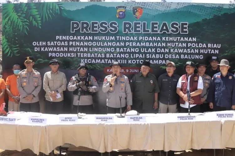 Jikalahari Dukung Polda Riau Tindak Perambah Hutan