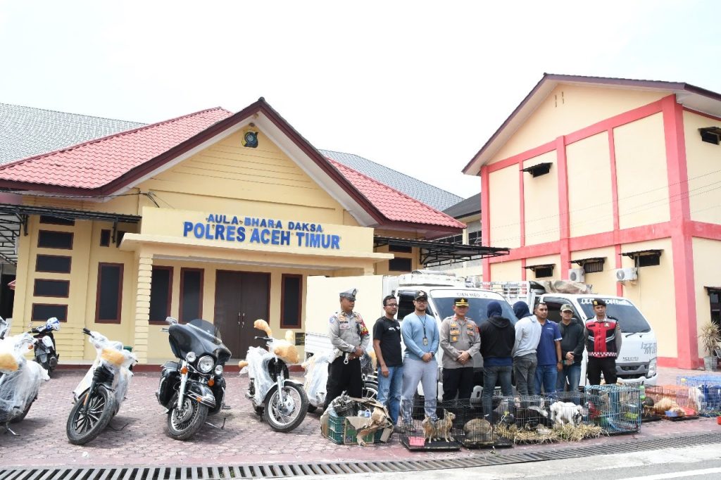 Warga Gagalkan Selundupan Moge dan Hewan di Aceh
