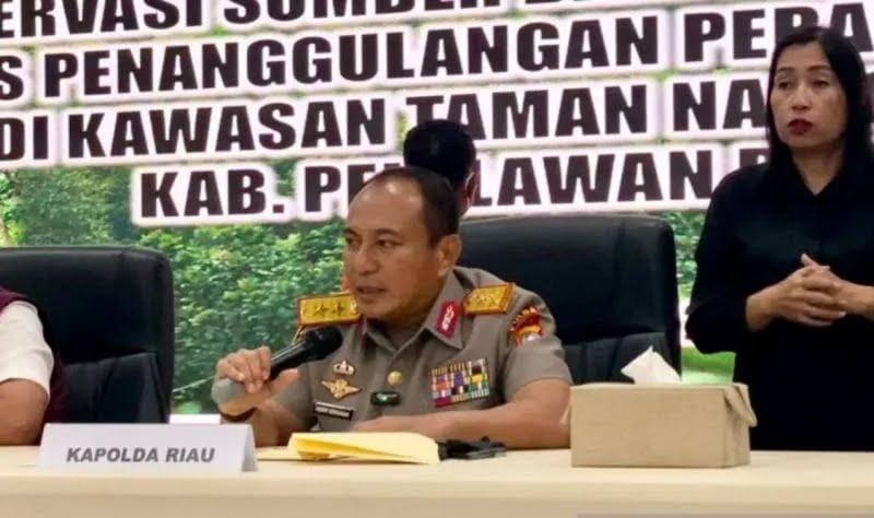 Hutan Tesso Nilo Terus Menyusut, Penegakan Hukum Diperkuat