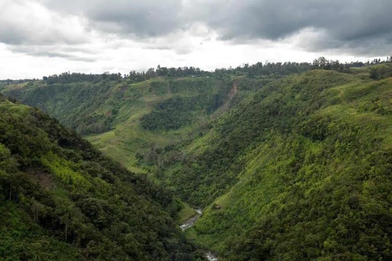 Program Rp3 Triliun Diluncurkan untuk Lindungi Hutan Asia-Pasifik