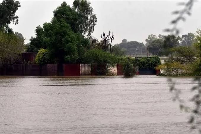 Banjir di Nigeria Hantam Warga Saat Tidur: 151 Korban Jiwa