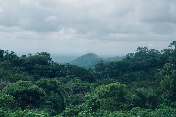 Hutan Luas, Mahakam Ulu dan YKAN Dukung Pembangunan Berkelanjutan