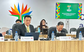Wamen Diaz Soroti Isu Loss and Damage di Pertemuan BRICS
