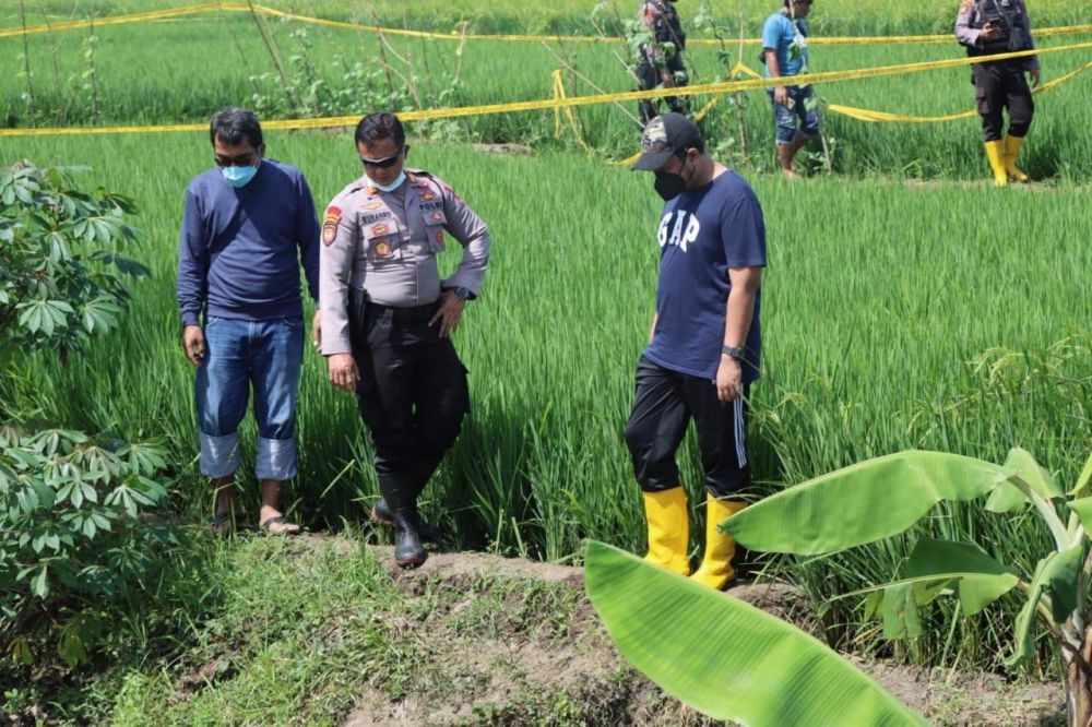 Diduga Dibunuh, Wanita Ditemukan Tewas di Persawahan