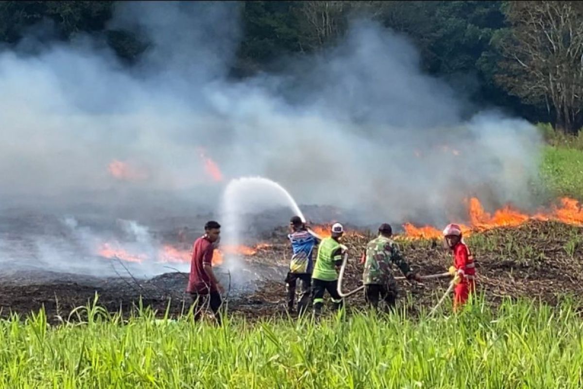 Lahan Gambut Terbakar, Kebakaran Harau Capai 5 Hektar