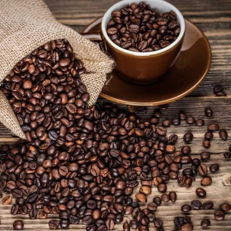 Sinergi Dinas Kukar Dorong Ekosistem Kopi Berkelanjutan