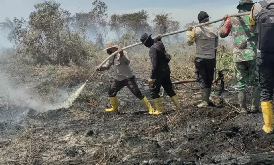 400 Hektar Lahan Terbakar di Rohil