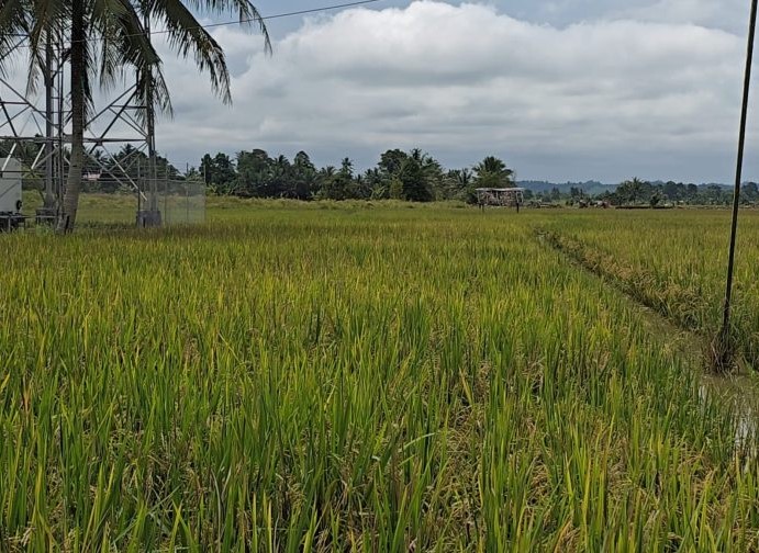 Program Pemkab Kukar Dongkrak Produktivitas Petani Bukit Biru