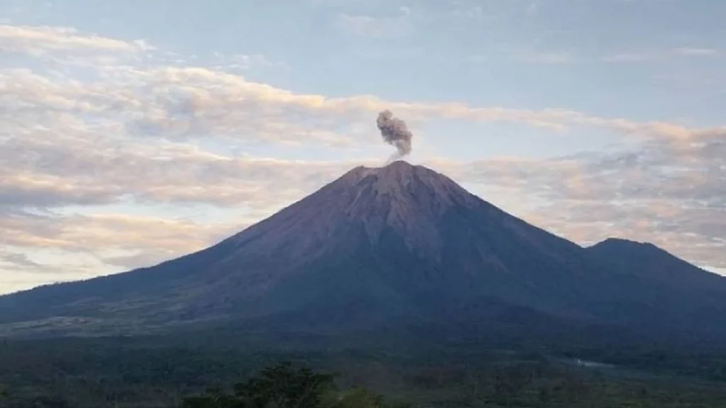 Gunung Semeru Erupsi Lagi, Kolom Abu Capai 700 Meter