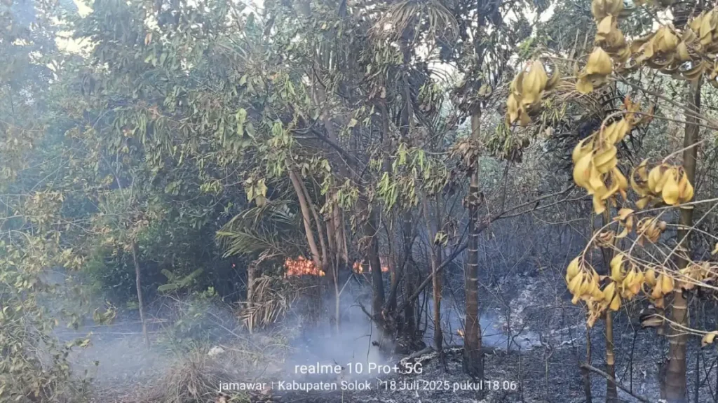 Karhutla Solok Meluas, 300 Hektare Terbakar