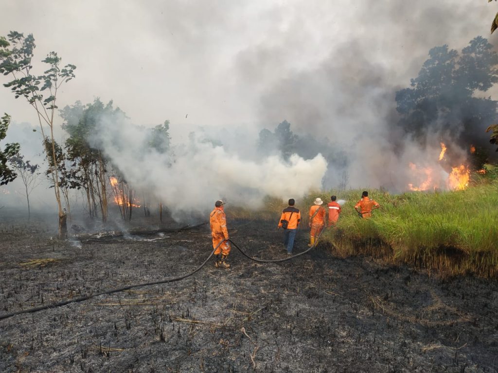 Lahan Milik Pemda Siak Terbakar Hebat