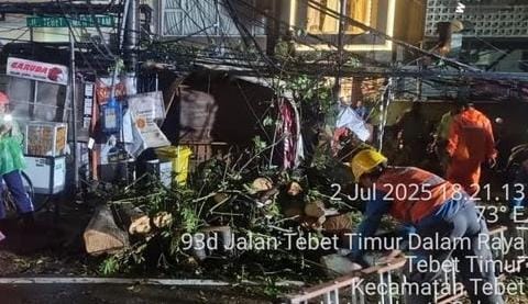 Hujan Deras Tumbangkan Pohon, Kios dan Motor Rusak