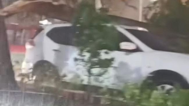 Ranting Besar Tumbang Timpa Mobil di Depan Kantor Wali Kota