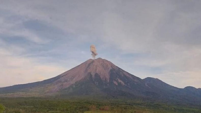 Gunung Semeru Muntahkan Abu Setinggi 700 Meter