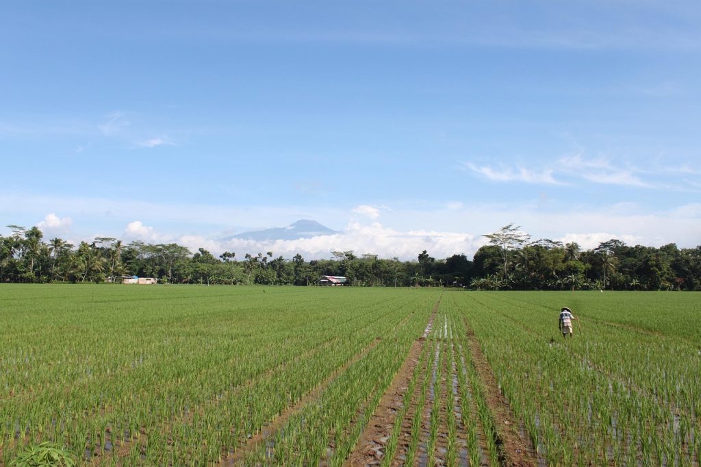 Program Pemkab Kukar Dongkrak Produktivitas Petani Bukit Biru