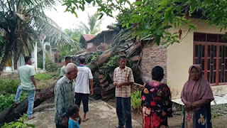 Angin Kencang di Labura Robohkan Pohon, Lima Rumah Rusak