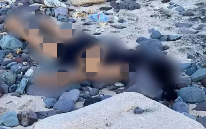Mahasiswi Unram Ditemukan Tewas di Pantai Nipah, Polisi Selidiki Dugaan Begal