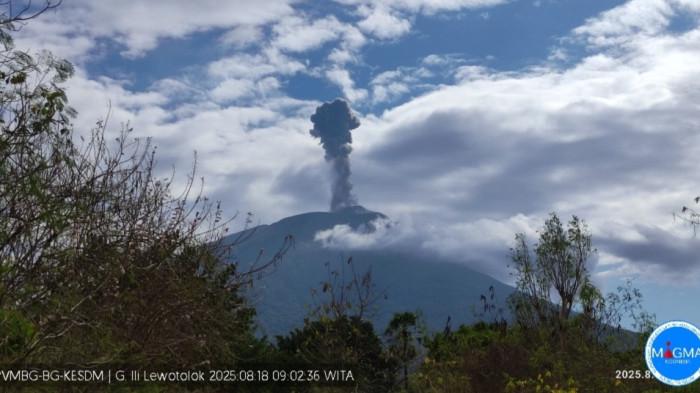 Gunung Ile Lewotolok Meletus, Abu Capai 800 Meter