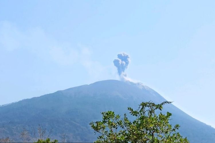 Gunung Lewotobi Erupsi Lagi, Kolom Abu Capai 600 Meter