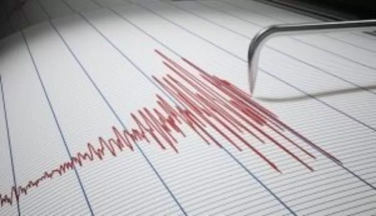 Gempa 3,8 SR di Kedalaman 154 Km Goyang Tapanuli Selatan