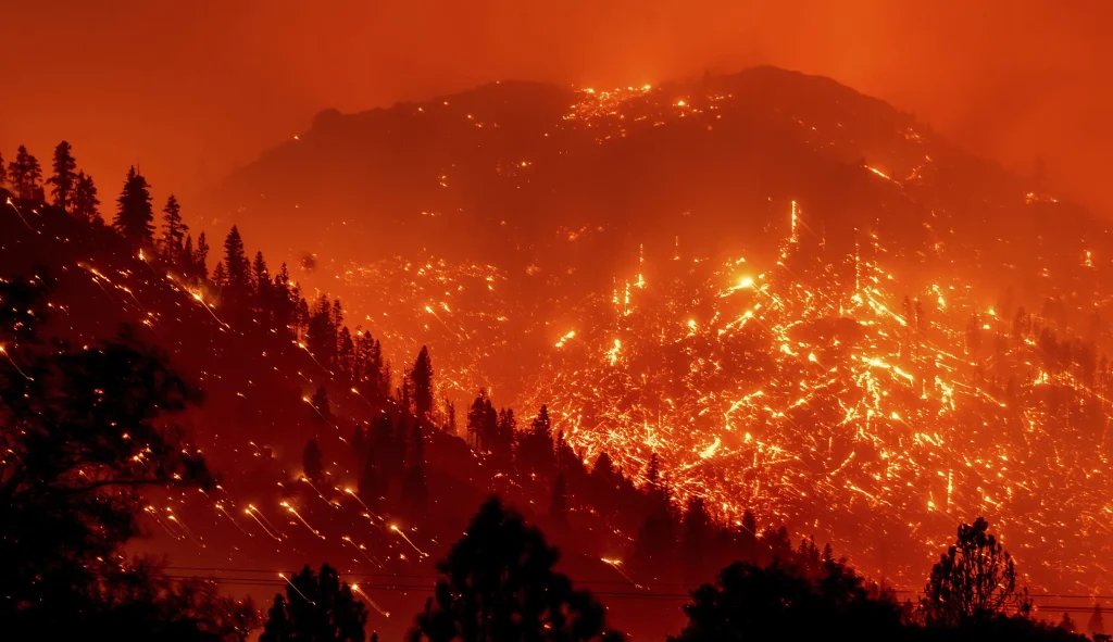 Kebakaran Hutan California, 34.000 Hektar Lahan Terbakar