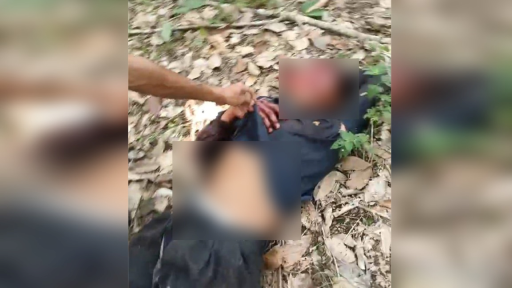 Petani di Musi Rawas Diserang Beruang Saat Menyadap Karet