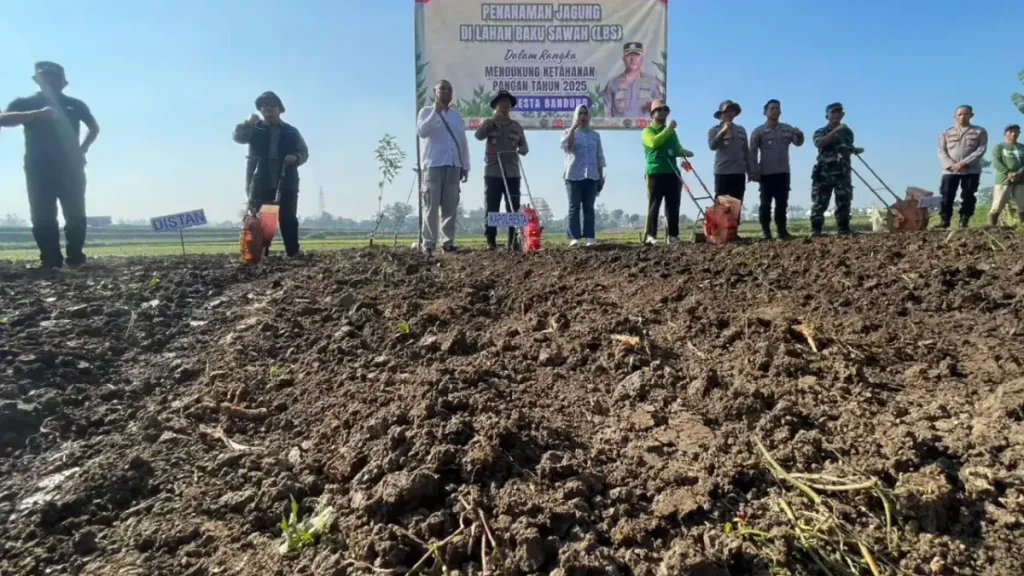 Polresta Bandung Sulap Lahan Tidur Jadi Sentra Jagung
