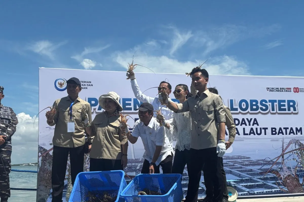 Wapres Gibran Tekankan Ekonomi Biru di Panen Lobster Batam