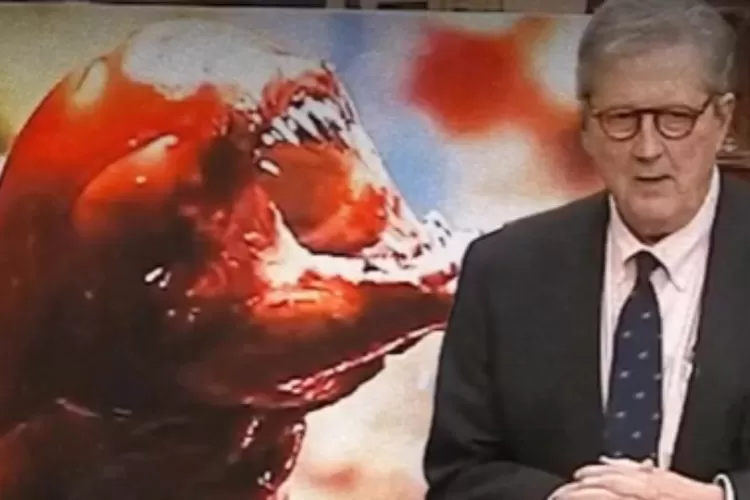 Heboh! Senator AS Kaitkan Udang Indonesia dengan Alien