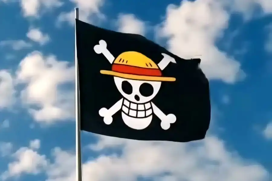 Bendera One Piece Dipakai sebagai Tanda Perlawanan Internasional