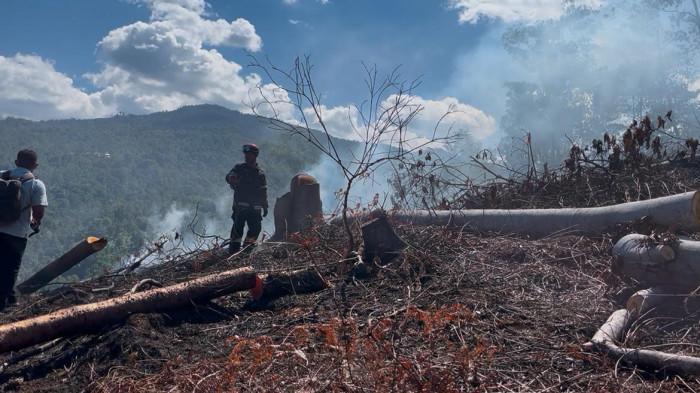 Satu Hektare Lahan di Palopo Terbakar, Diduga Berawal dari Bakar Sampah