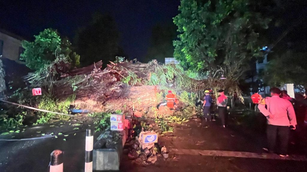 Pohon Beringin Tumbang di Bogor, Lalu Lintas Lumpuh Total