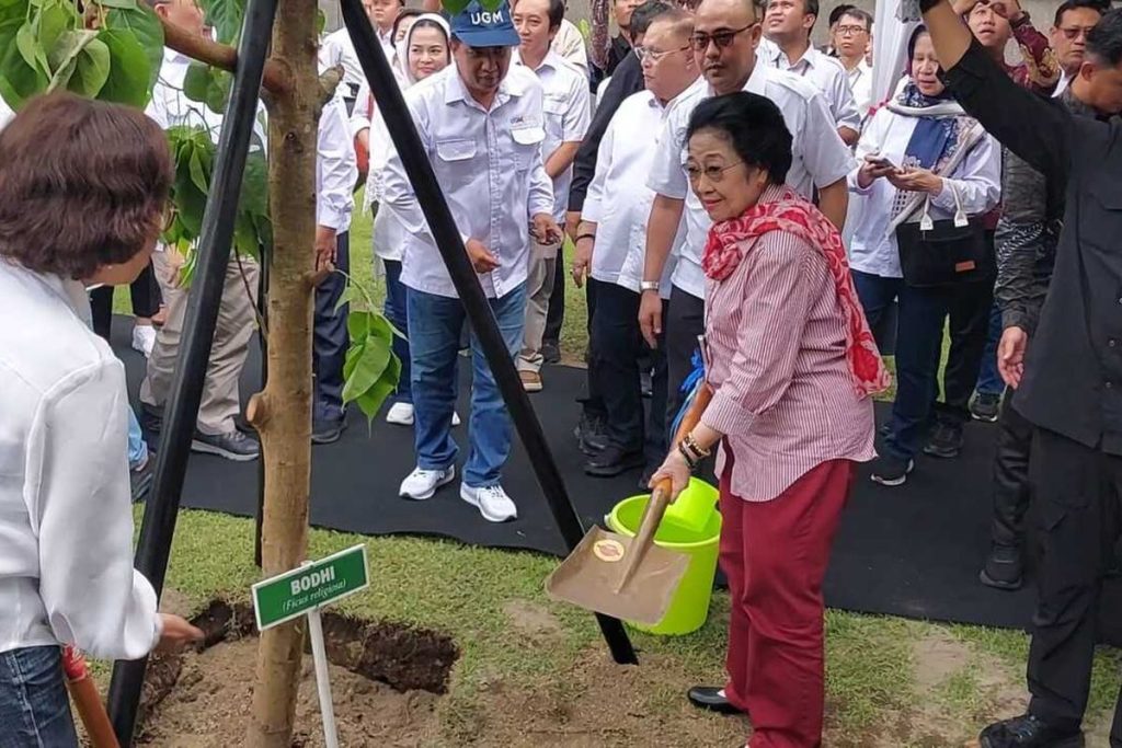 Megawati Soekarnoputri Tanam Pohon Bodhi di UGM
