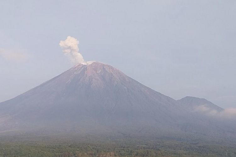 Gunung Semeru Erupsi Enam Kali, Warga Diminta Siaga