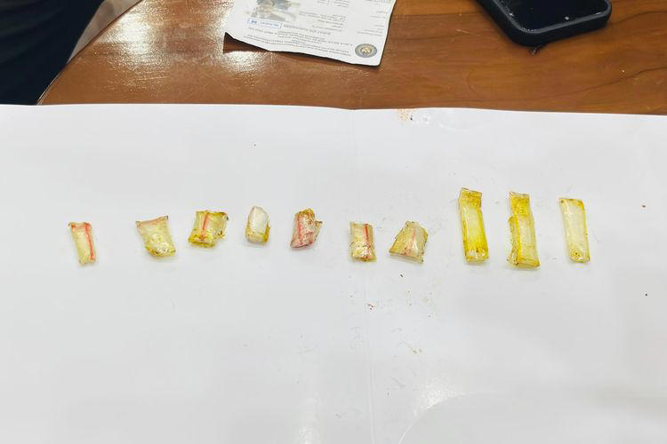 Petugas Lapas Jakarta Gagalkan Penyelundupan Sabu di Masakan Ayam Kecap