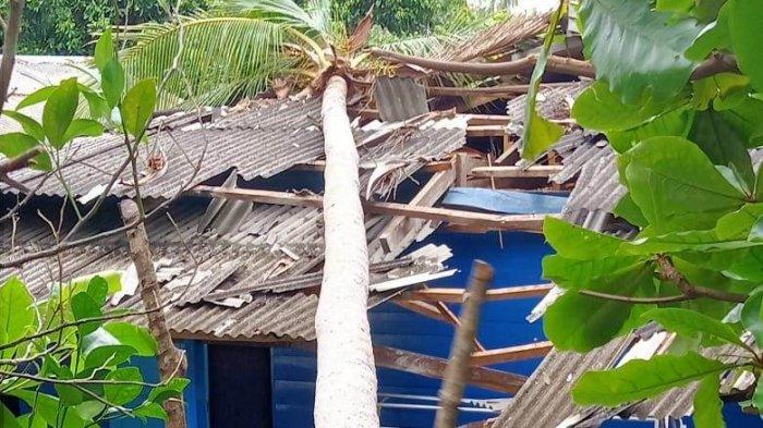 Cuaca Ekstrem Terjang Paser, Empat Rumah Rusak dan Pohon Tumbang