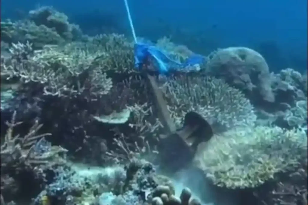 KSOP Panggil Kapten Kapal Perusak Terumbu Karang Labuan Bajo