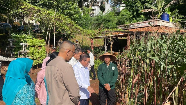 Panen Raya di Bintaro, Pramono Dorong Gerakan Hijau Kota