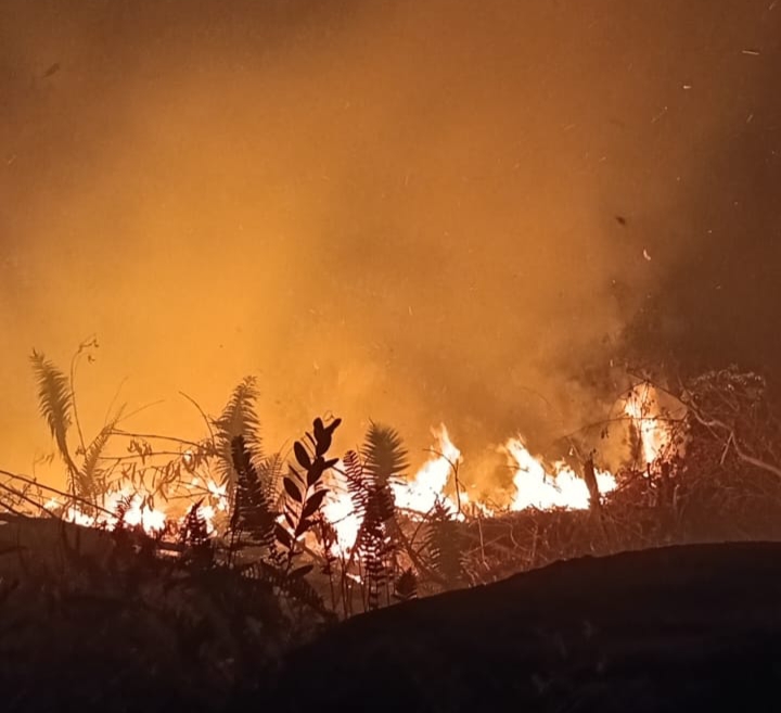 Lahan Terbakar di Mandeh, Diduga Karena Puntung Rokok