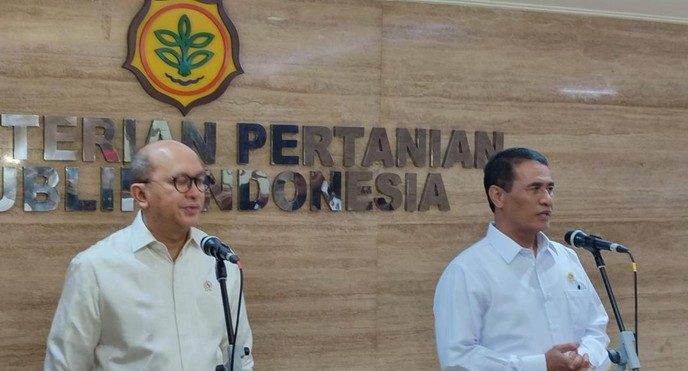 Danantara Siapkan Rp20 T Bangun Peternakan Ayam Nasional