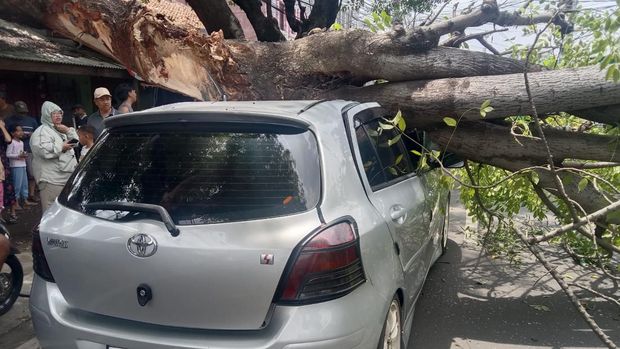 Mobil Yaris Ringsek Usai Tertimpa Pohon Tumbang di Ciputat